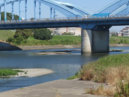 多摩川丸子橋2.jpg