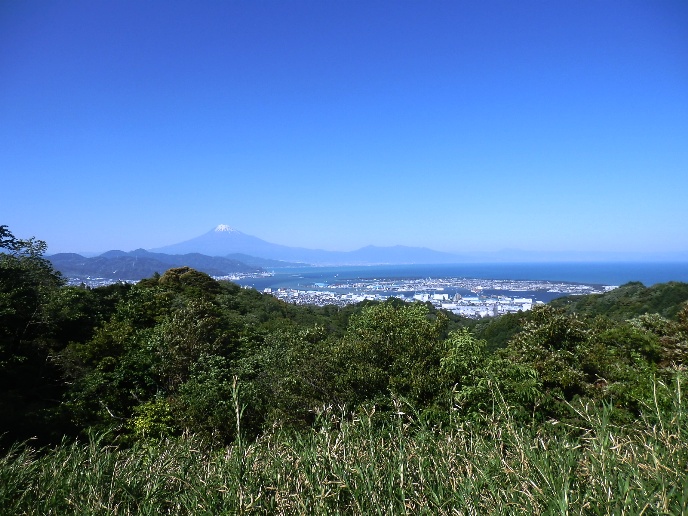 日本平と富士山.jpg