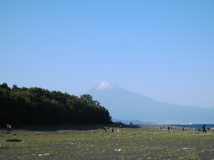松原と富士山.jpg